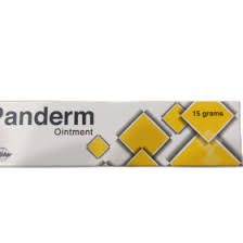 PANDERM OINT 15G