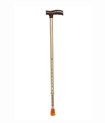 WALKING STICK